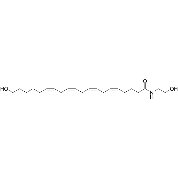 20-HETE Ethanolamide 942069-11-6